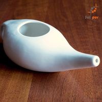 Saltpur Neti Pot